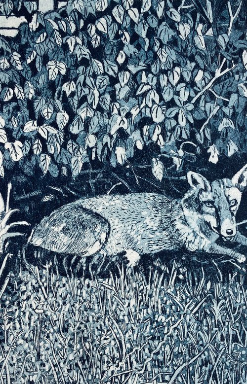 Allotment fox by Janis Goodman