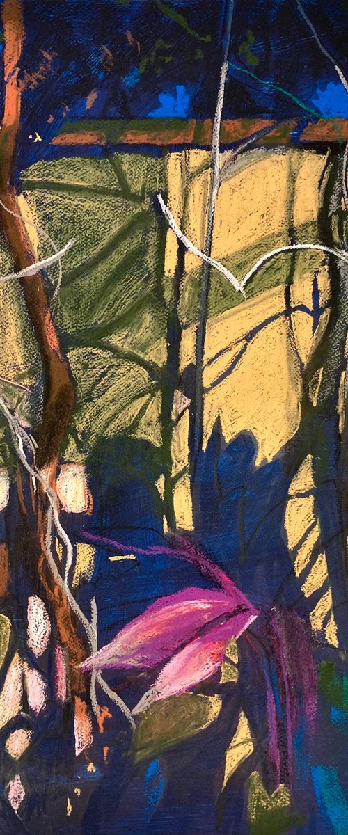 Night garden by John Cottee