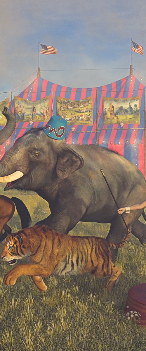 Escape from Circus by Tony Fowler