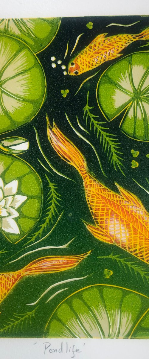 Pondlife by Marian Carter