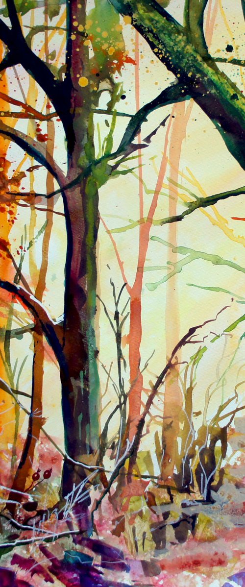 Autumn Light by Julia  Rigby