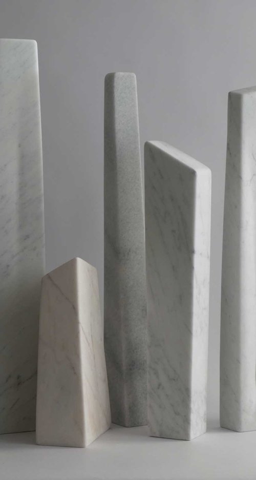 Nuances in White, Light and Sh by Fieke de Roij