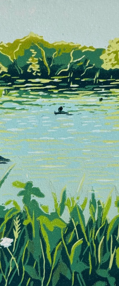 Summer Swim, the Ladies Pond by Rebecca Denton