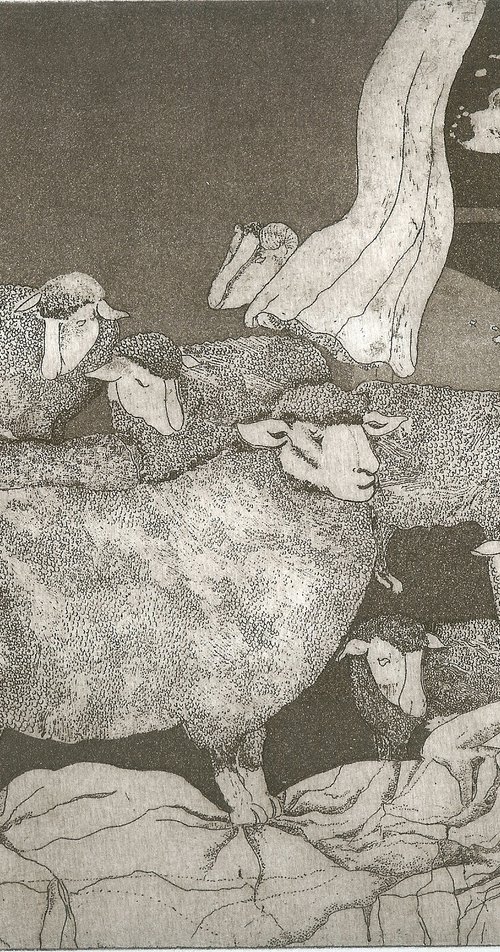 Counting Sheep by Jane Daniell