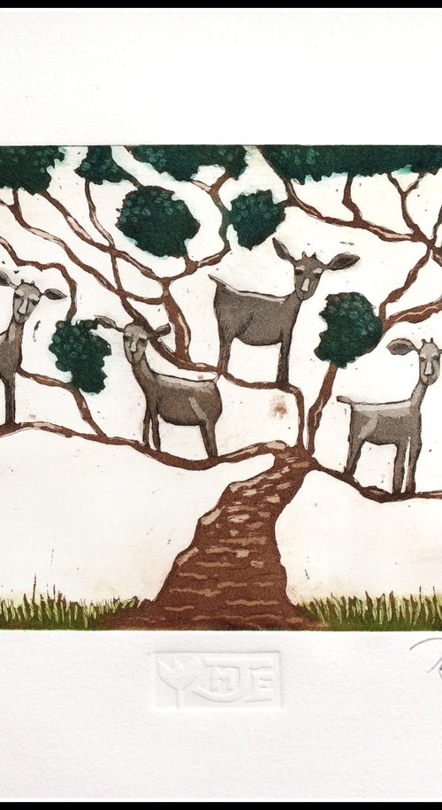 Goats in a tree by Mariann Johansen-Ellis