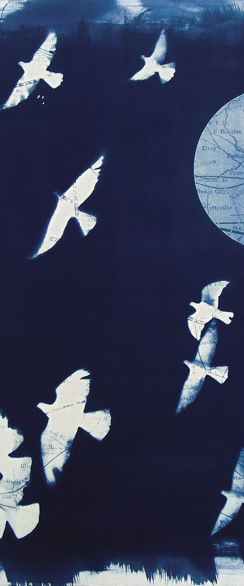 Cyanotype 19 Freedom by Manel Villalonga