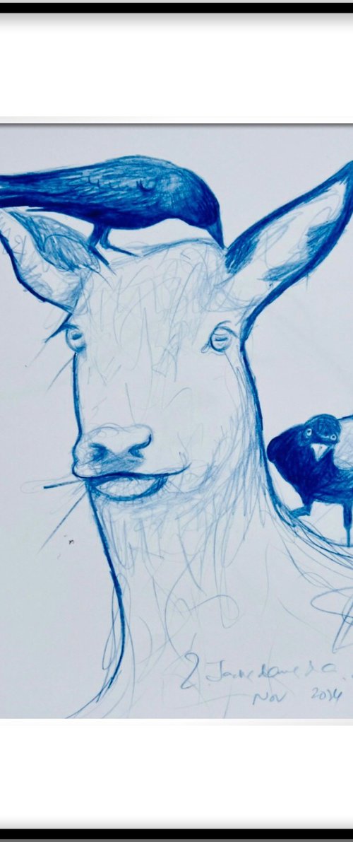 Compassion by Shabs  Beigh