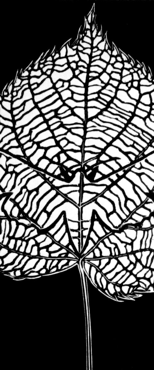 Extinguished: Forever by Rebecca Coleman