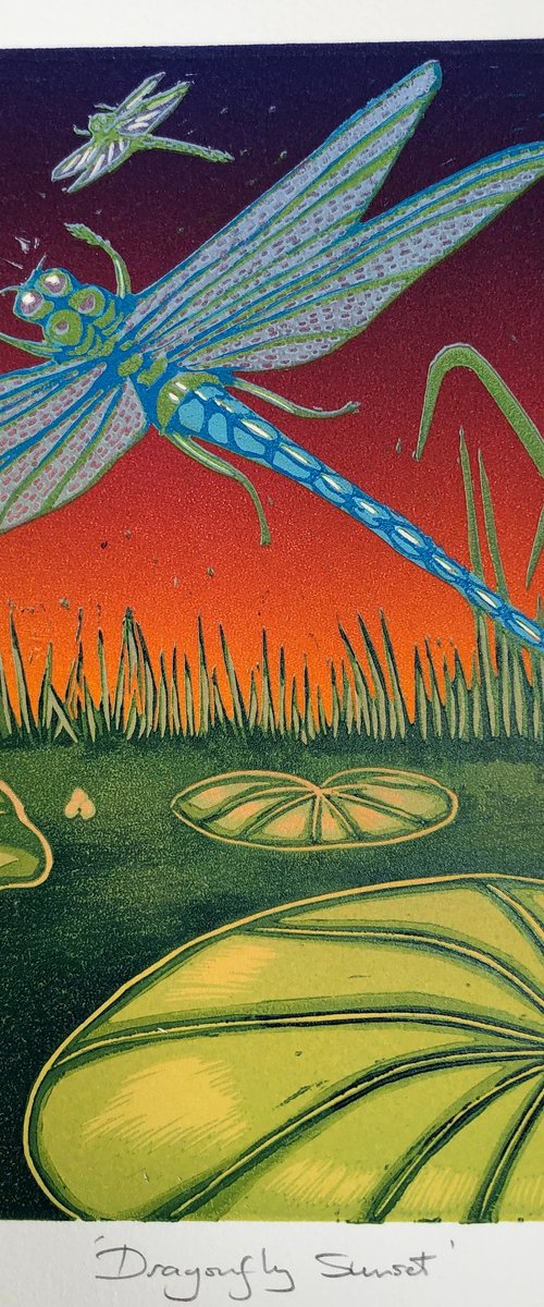 Dragonfly Sunset by Marian Carter