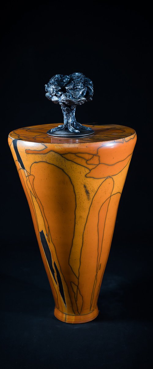 Holm Oak in Silence 2 by Iñaki San