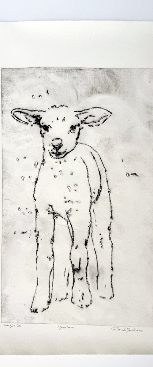 LuckyLamb by Randi Antonsen