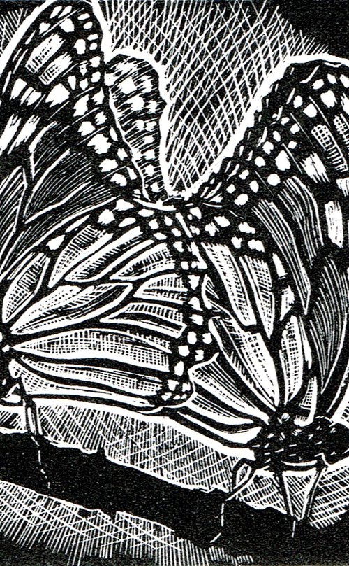 Amorous Monarchs by Rebecca Coleman