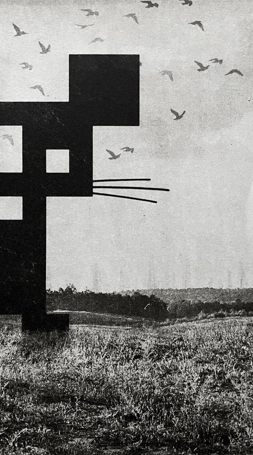 The Field Mouse by Jaco Putker