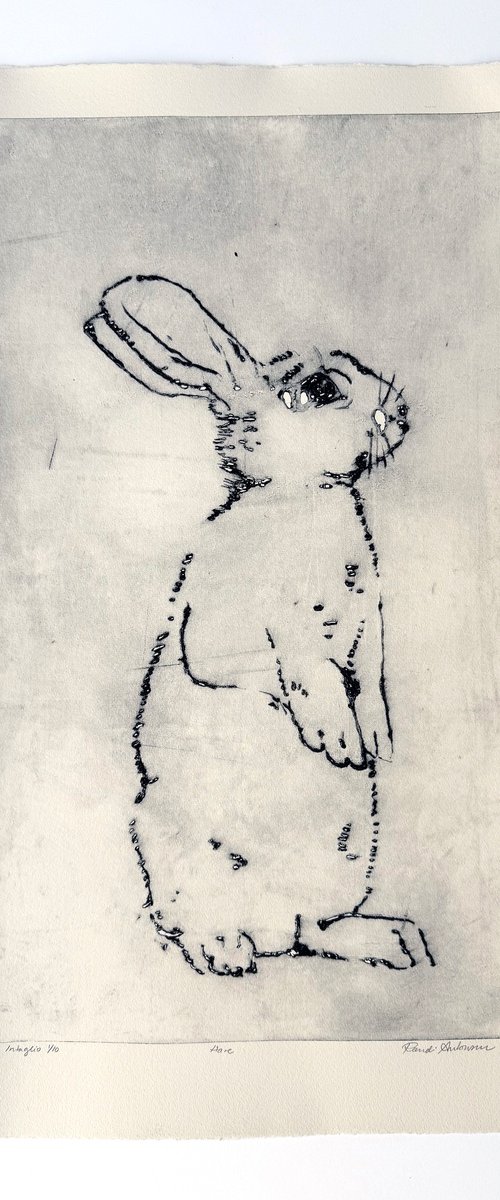 Moon Rabbit by Randi Antonsen