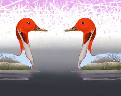 Red head water birds, in Pink by Hilde Hoekstra